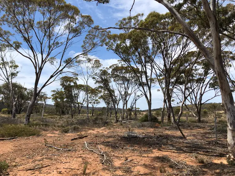 Sixth view of Homely rural property listing, Lot 2 South Coast Highway, Ravensthorpe WA 6346
