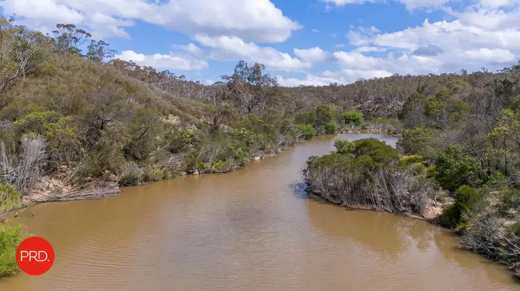 113 Mayfield Road, Larbert NSW 2622