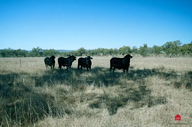 Fourth view of Homely land listing, 55 Rifle Range Road, Gayndah QLD 4625