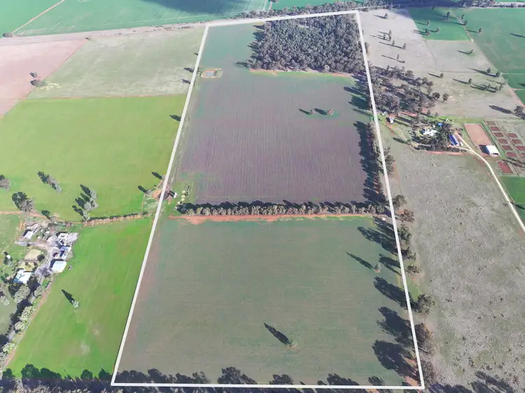 Main view of Homely rural property listing, 7555 Burley Griffin Way, Temora NSW 2666