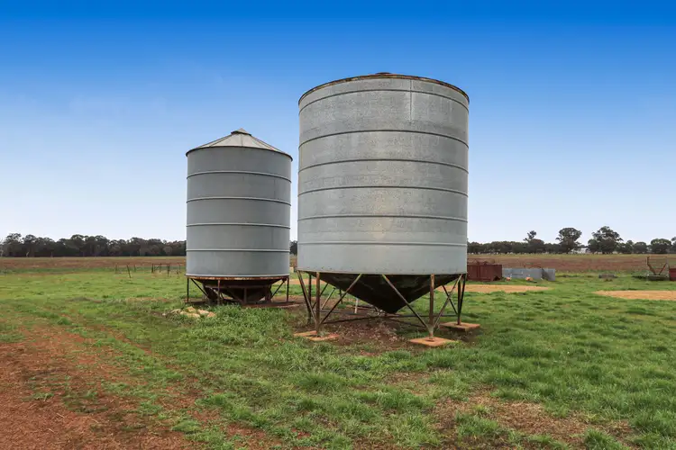 Fourth view of Homely rural property listing, 7555 Burley Griffin Way, Temora NSW 2666