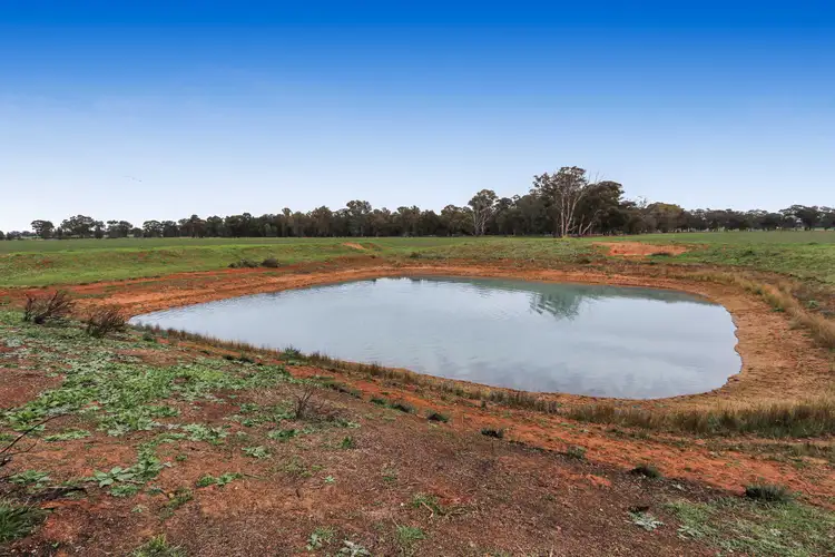 Fifth view of Homely rural property listing, 7555 Burley Griffin Way, Temora NSW 2666