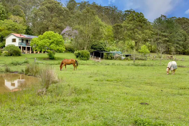 Fourth view of Homely rural property listing, 24 Juhles Mountain Road, Moorland NSW 2443