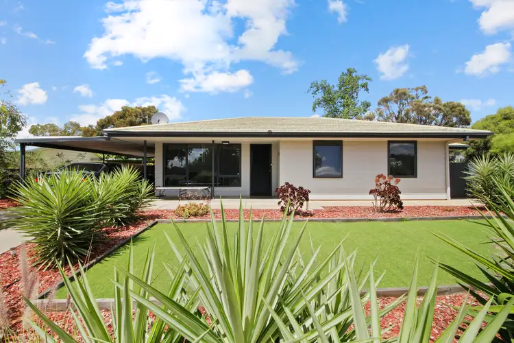 91 Derrick Street, Berri SA 5343