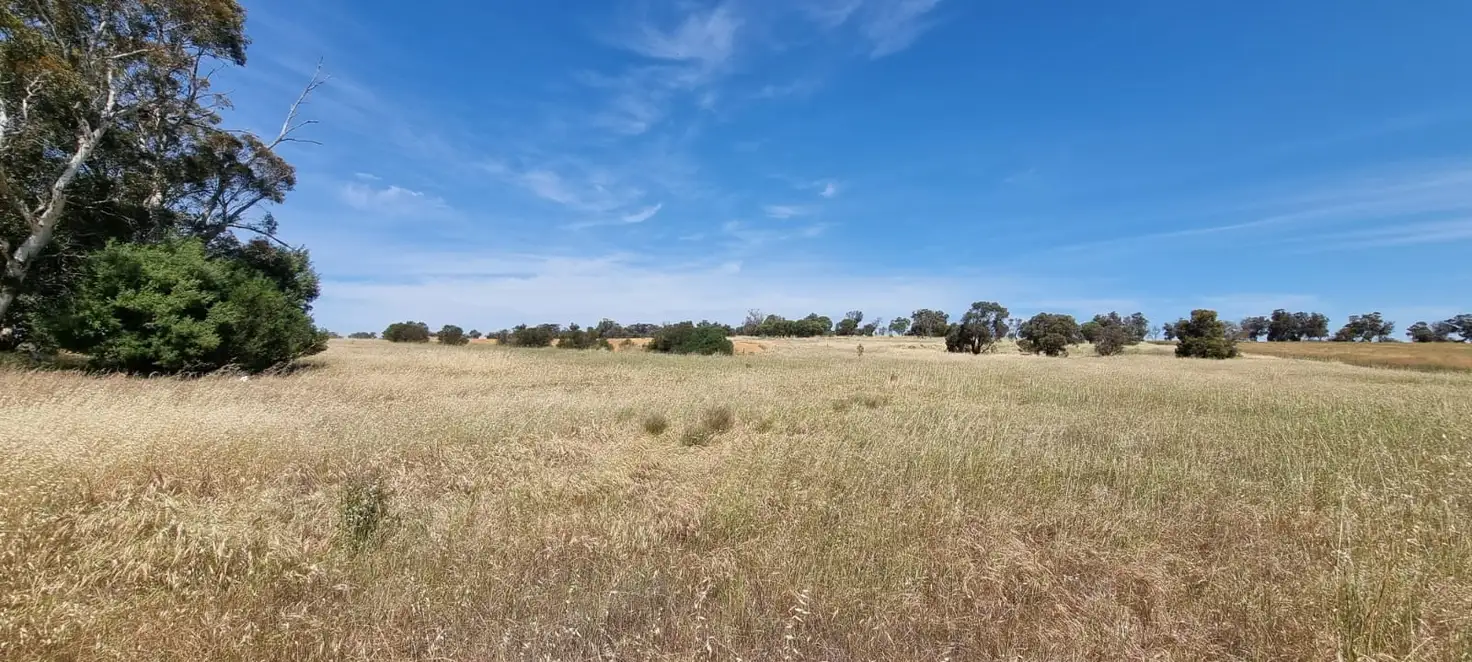 Main view of Homely rural property listing, 224 Fullers Road, Wagin WA 6315