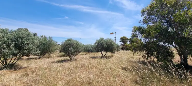 Fourth view of Homely rural property listing, 224 Fullers Road, Wagin WA 6315