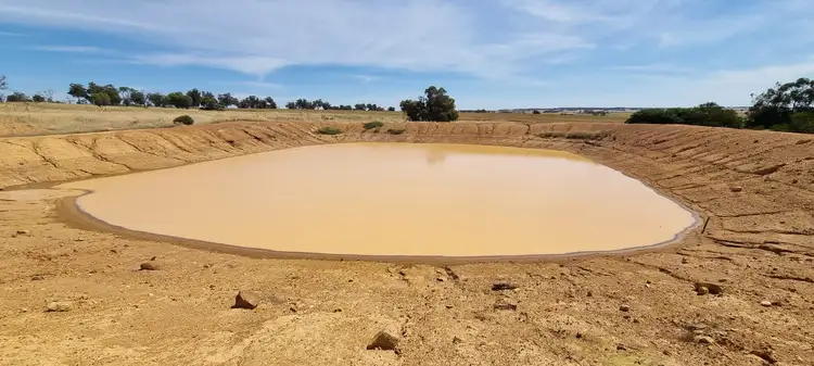 Fifth view of Homely rural property listing, 224 Fullers Road, Wagin WA 6315