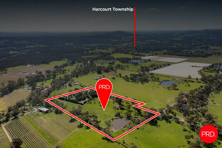 Second view of Homely house listing, 3358 Harmony Way, Harcourt VIC 3453