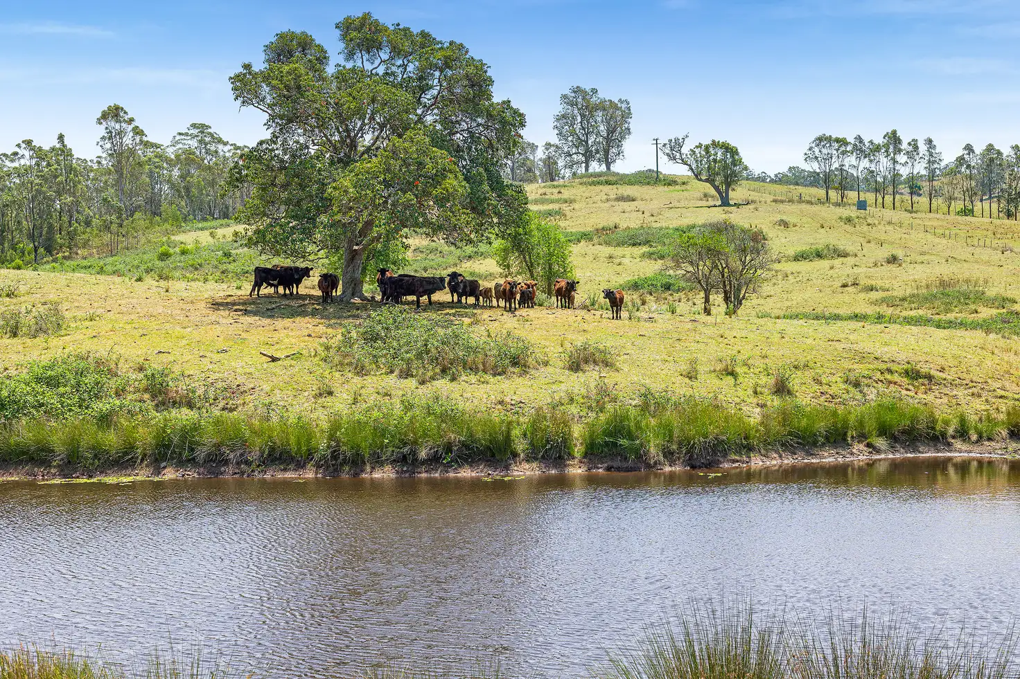 Main view of Homely land listing, Lot 30 Princes Highway, Brogo NSW 2550
