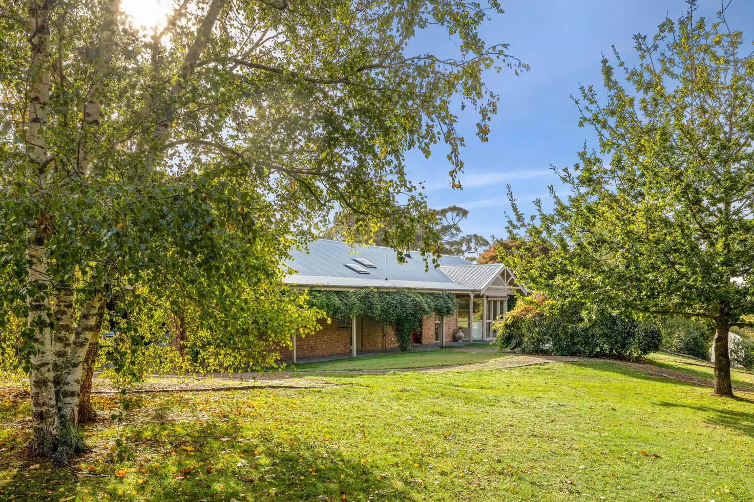 Main view of Homely house listing, 13 Trewhella Drive, Newham VIC 3442