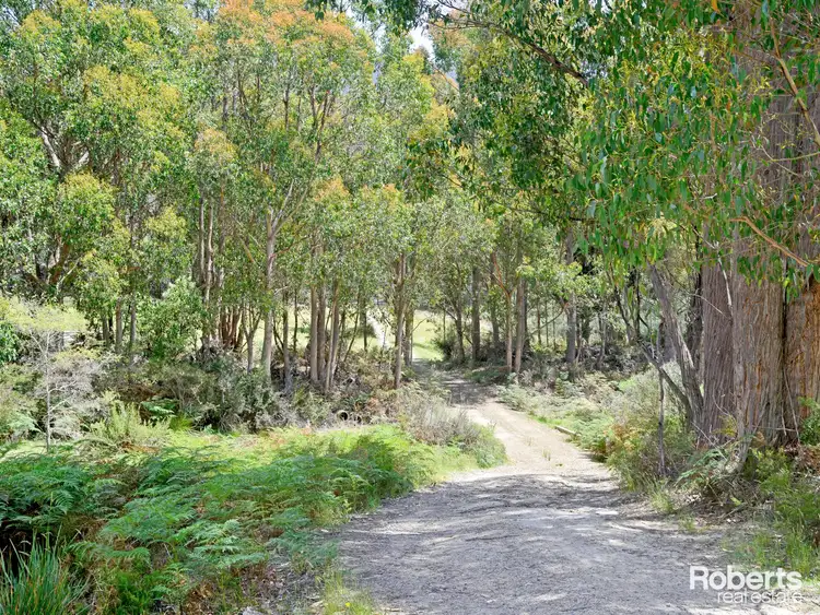 Third view of Homely land listing, 79 Marriotts Road, Ellendale TAS 7140