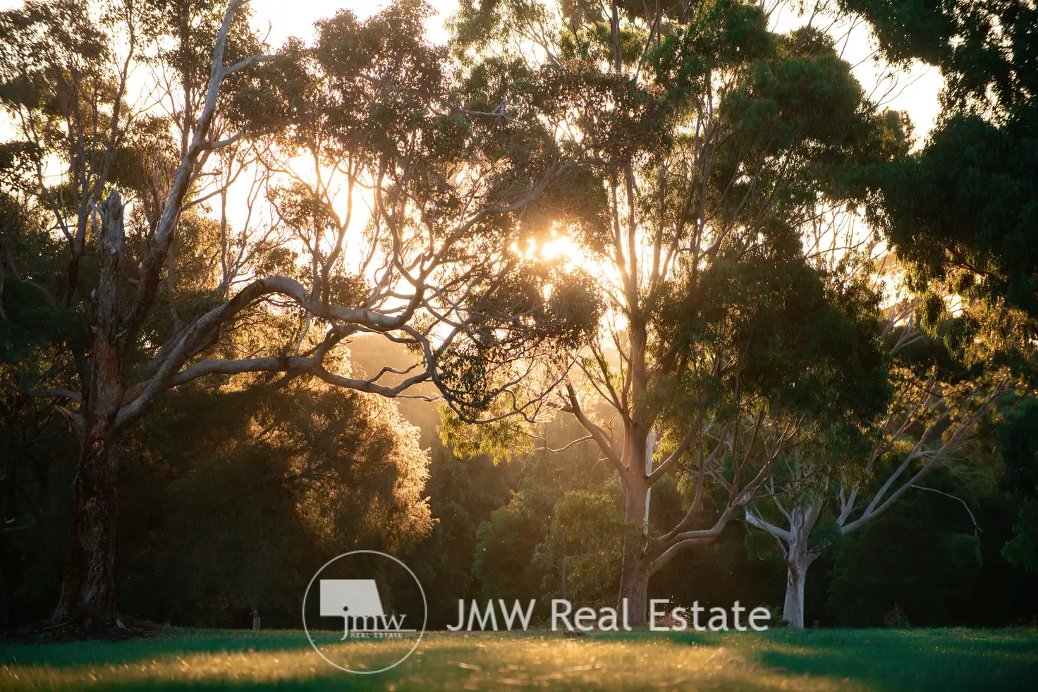 Main view of Homely land listing, LOT 506 Gidgee Road, Witchcliffe WA 6286