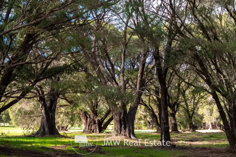 Second view of Homely land listing, LOT 513 Powderbark Way, Witchcliffe WA 6286