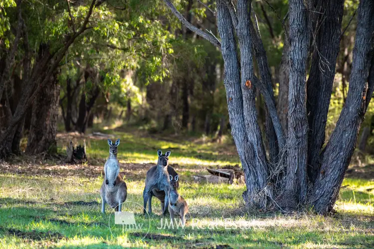 Fifth view of Homely land listing, LOT 513 Powderbark Way, Witchcliffe WA 6286