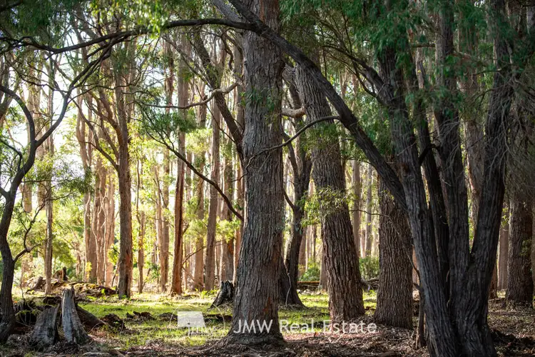 Sixth view of Homely land listing, LOT 513 Powderbark Way, Witchcliffe WA 6286