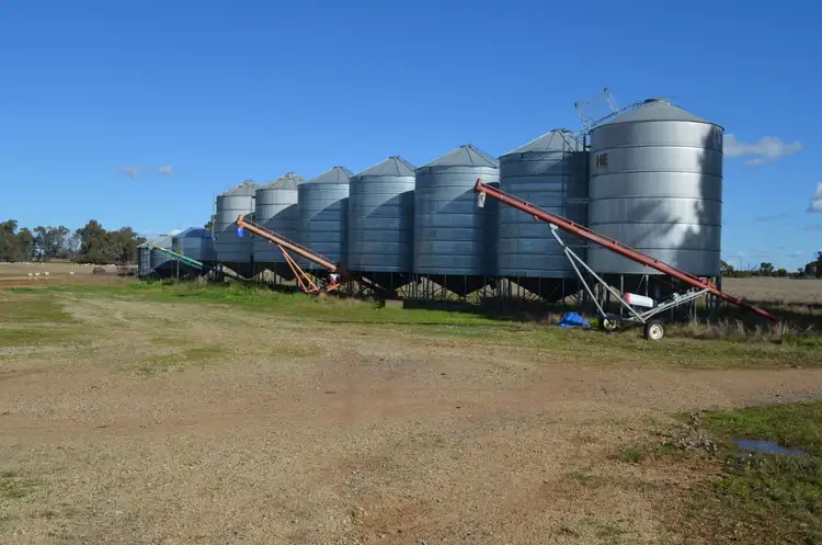 Third view of Homely rural property listing, 'West Ooma' 559 Pinnacle Road, Garema NSW 2871