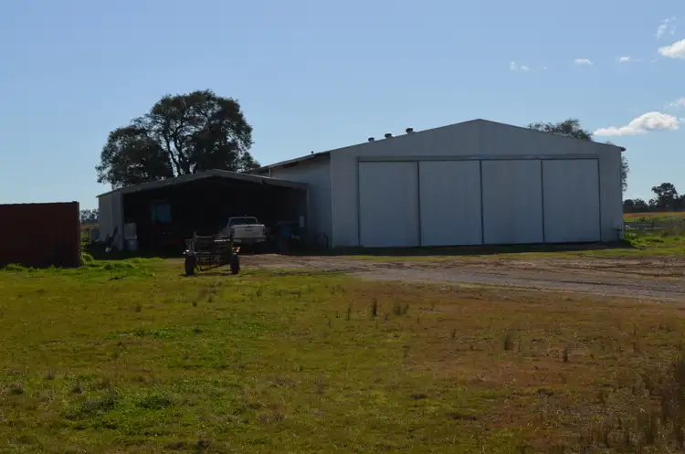 Fifth view of Homely rural property listing, 'West Ooma' 559 Pinnacle Road, Garema NSW 2871