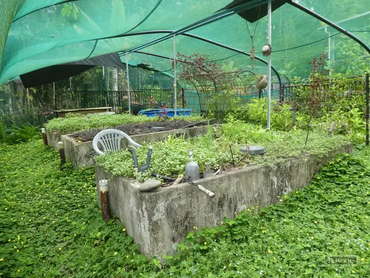 Seventh view of Homely rural property listing, Address available on request