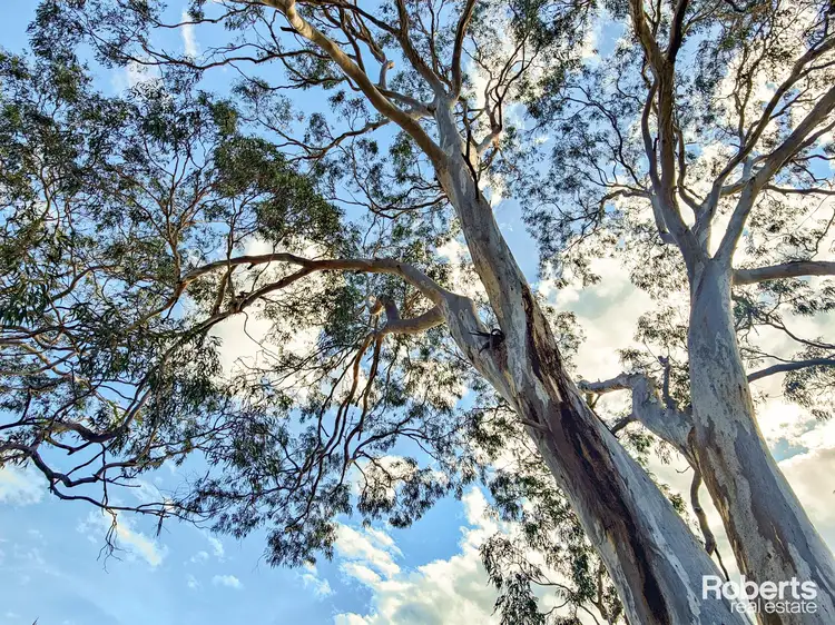 Fifth view of Homely land listing, LOT 1, 213 Cambria Drive, Dolphin Sands TAS 7190