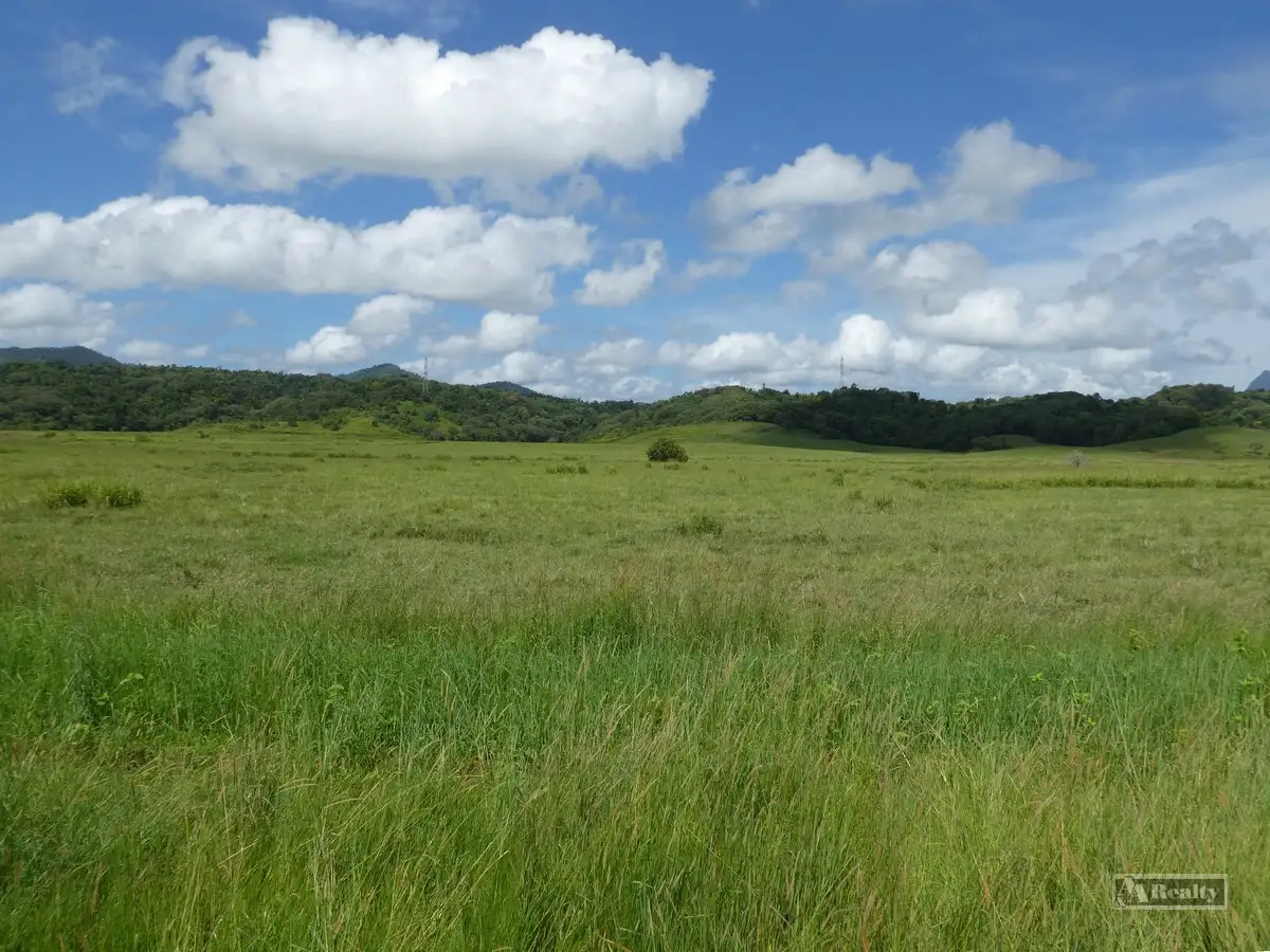 Main view of Homely rural property listing, 66225 Bruce Highway, Waugh Pocket QLD 4871
