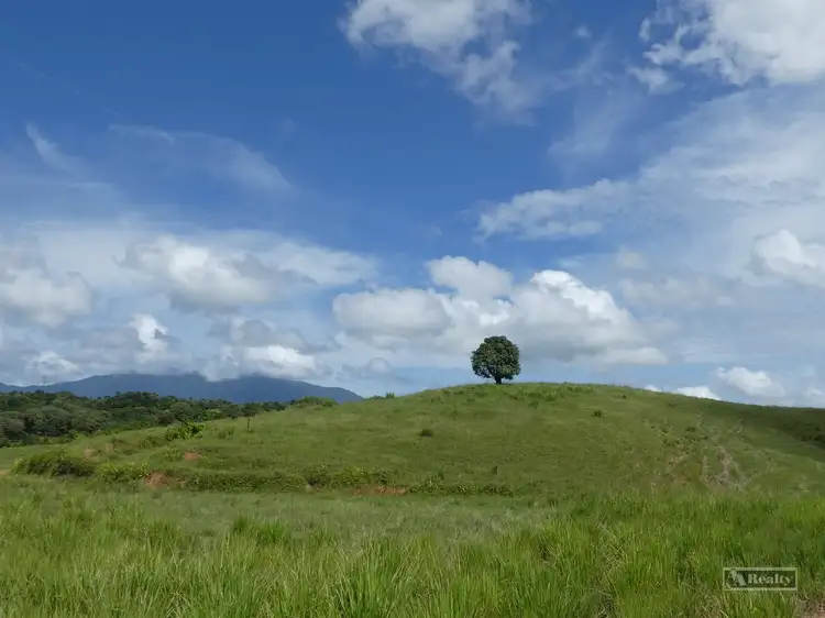 Third view of Homely rural property listing, 66225 Bruce Highway, Waugh Pocket QLD 4871