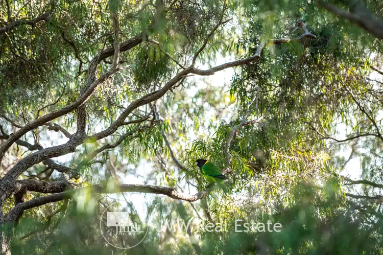 Main view of Homely land listing, LOT 515 Kurrajong Parkway, Witchcliffe WA 6286