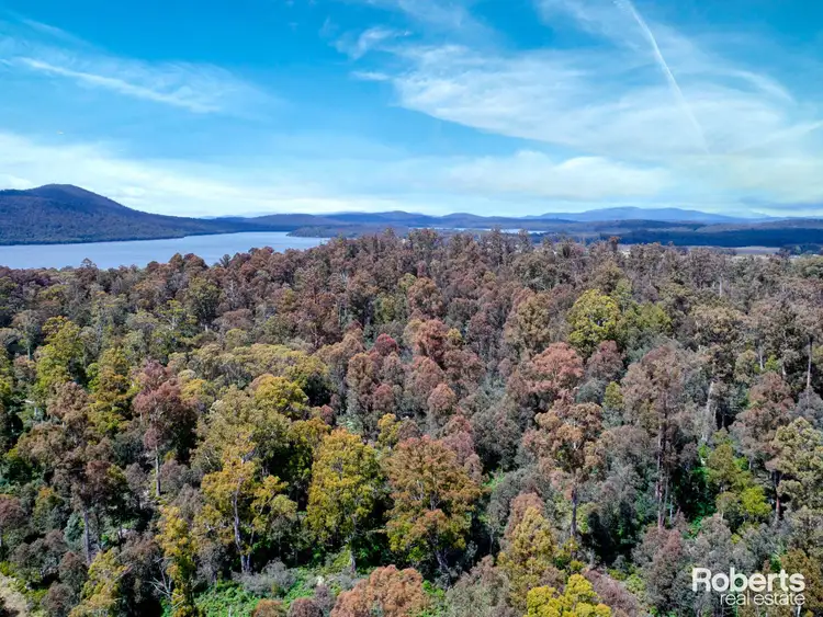 Second view of Homely land listing, LOT 4, 172 Woodwards Bay Road, Bradys Lake TAS 7140