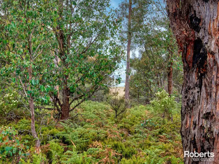 Third view of Homely land listing, LOT 4, 172 Woodwards Bay Road, Bradys Lake TAS 7140