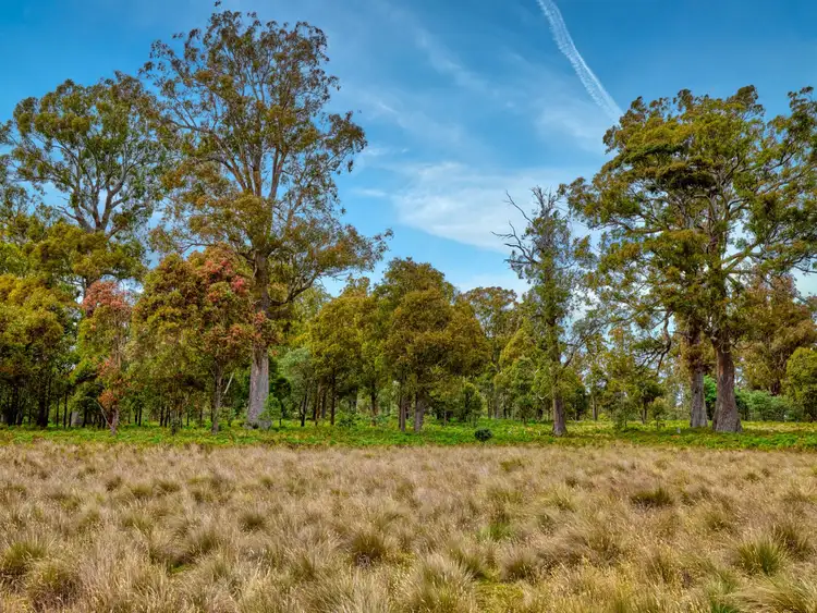 Fourth view of Homely land listing, LOT 4, 172 Woodwards Bay Road, Bradys Lake TAS 7140