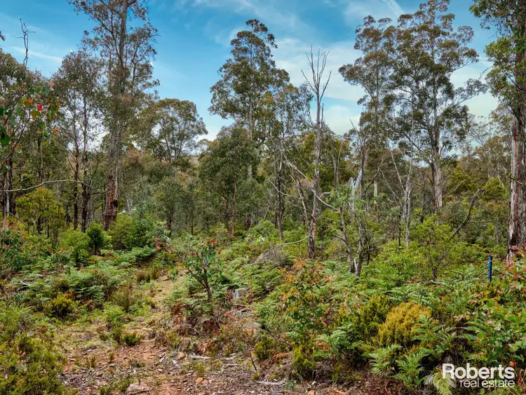 Fifth view of Homely land listing, LOT 4, 172 Woodwards Bay Road, Bradys Lake TAS 7140