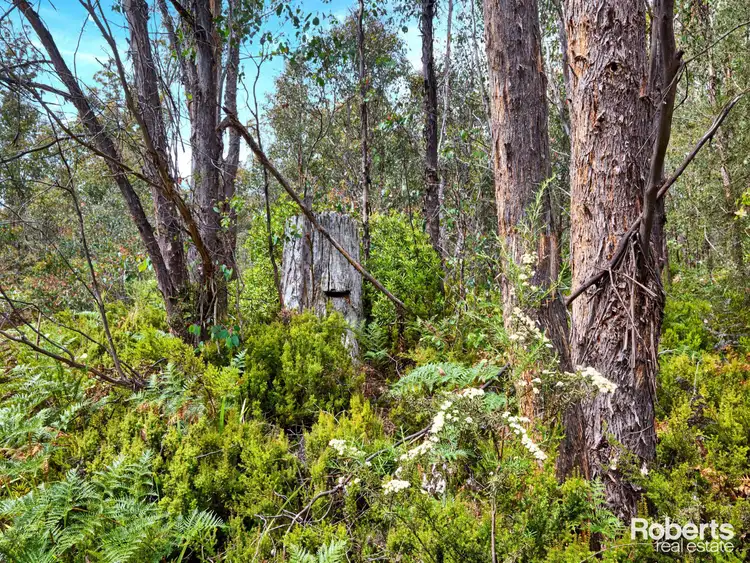 Sixth view of Homely land listing, LOT 4, 172 Woodwards Bay Road, Bradys Lake TAS 7140
