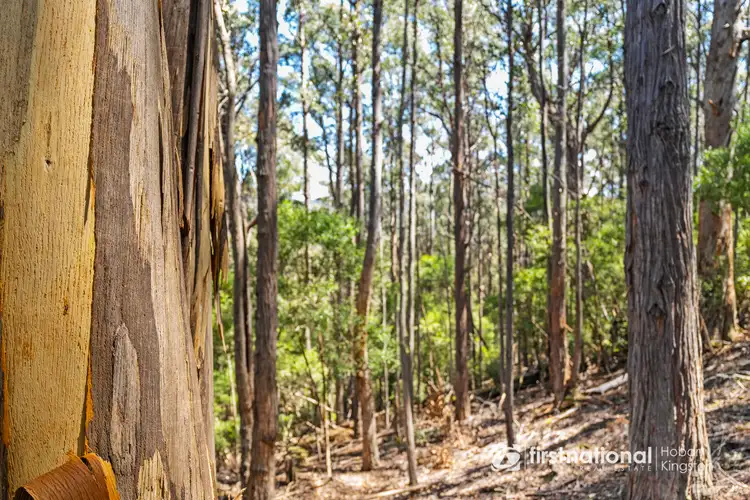 Sixth view of Homely land listing, 249 Groombridges Road, Kettering TAS 7155