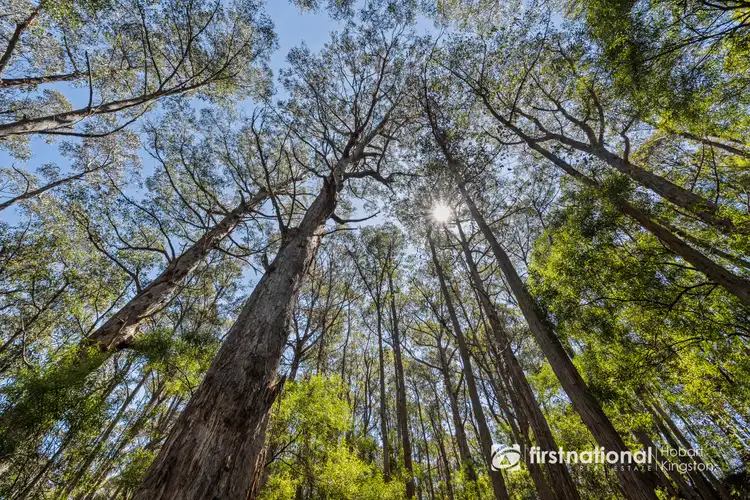 Seventh view of Homely land listing, 249 Groombridges Road, Kettering TAS 7155
