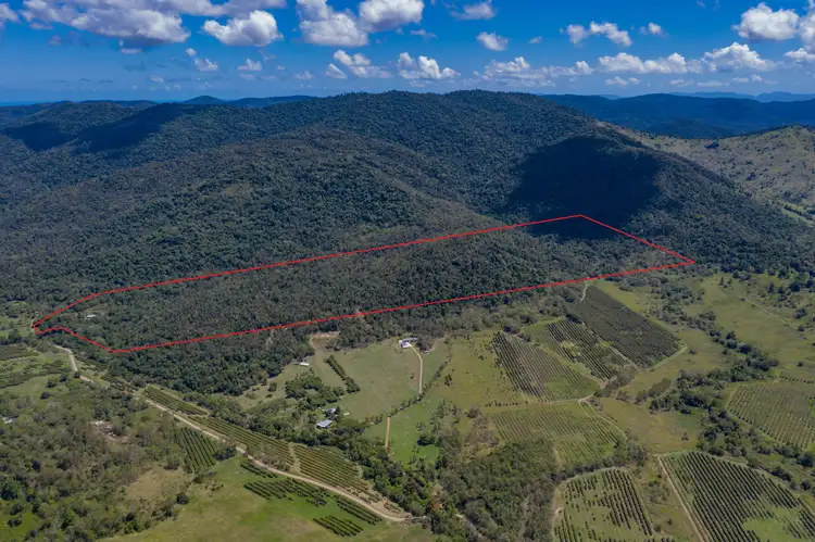 Second view of Homely land listing, 680 Saltwater Creek Road, Palm Grove QLD 4800