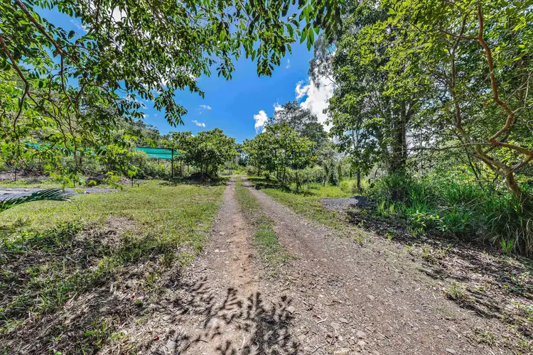 Fifth view of Homely land listing, 680 Saltwater Creek Road, Palm Grove QLD 4800