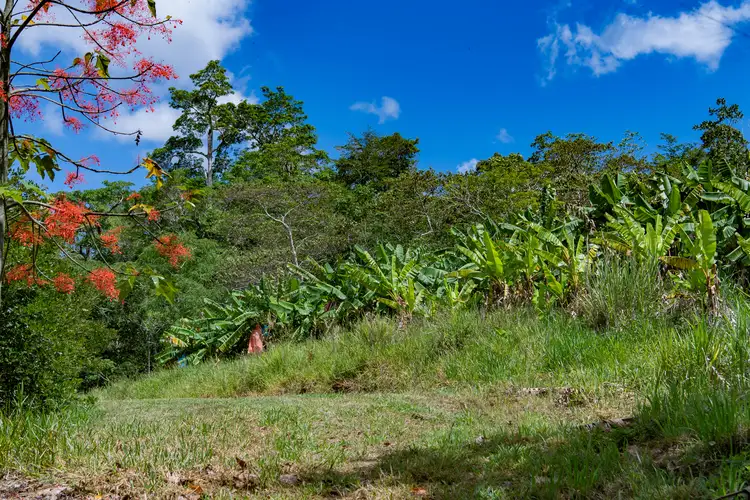 Sixth view of Homely land listing, 680 Saltwater Creek Road, Palm Grove QLD 4800