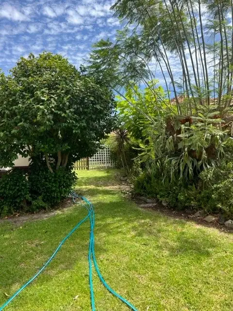 Fourth view of Homely house listing, 19 Fitzpatrick Street, Waroona WA 6215