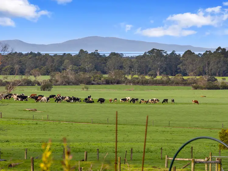 Second view of Homely rural property listing, 4380 South Gippsland Highway, Foster VIC 3960