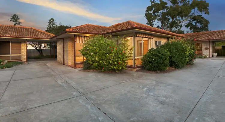 3/7 Olive Street