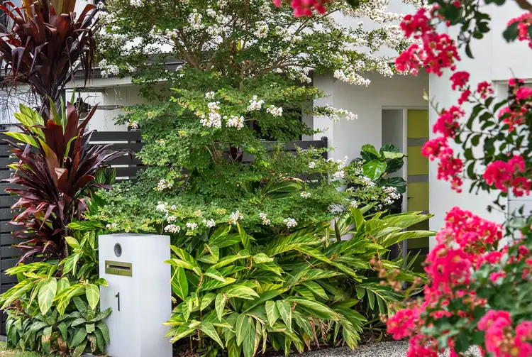 Second view of Homely house listing, 1/1 Cygnus Crescent, Coomera QLD 4209