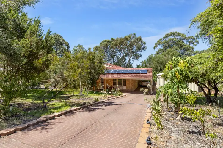 Main view of Homely house listing, 17 Blacksmith Drive, Wellard WA 6170