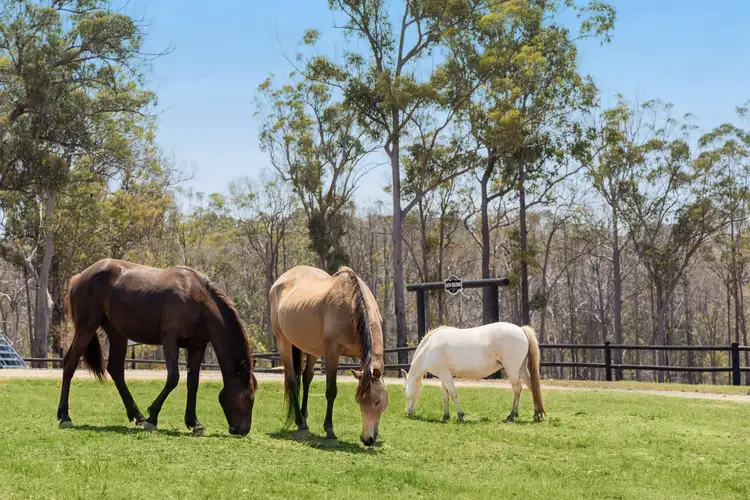 Second view of Homely rural property listing, 435 Ford Road, Priestdale QLD 4127