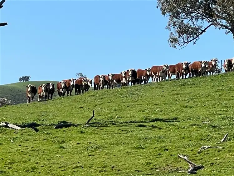 Fourth view of Homely land listing, Lot 245 in DP750991 Lowthers Lane, Tumut NSW 2720