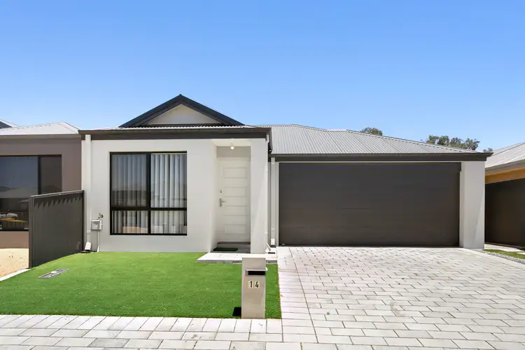 Main view of Homely house listing, 14 Sundew Road, Beeliar WA 6164