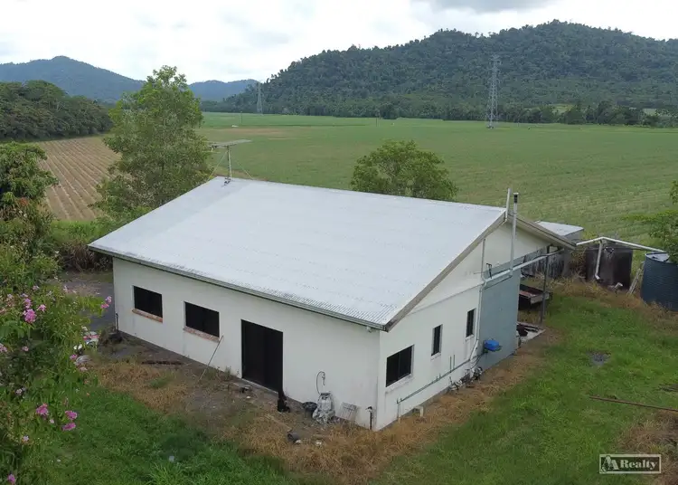 Third view of Homely rural property listing, 992 Silkwood Japoon Rd, Japoonvale QLD 4856