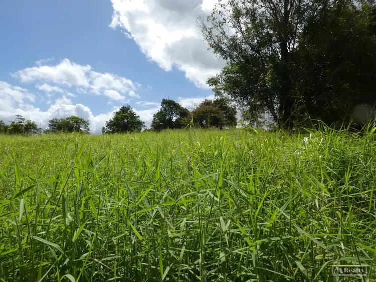 Seventh view of Homely rural property listing, 992 Silkwood Japoon Rd, Japoonvale QLD 4856