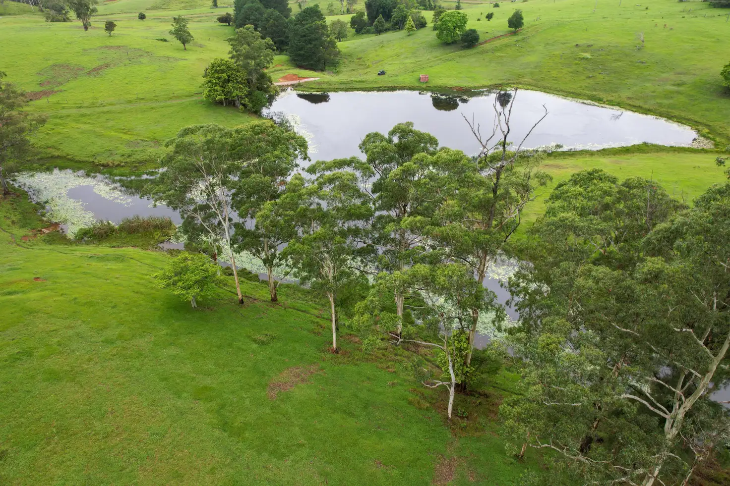 Main view of Homely rural property listing, 12/400 Bellthorpe West Road, Bellthorpe QLD 4514