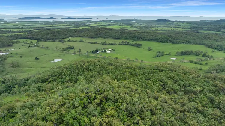 Sixth view of Homely land listing, 401 Gormleys Road, Seaforth QLD 4741