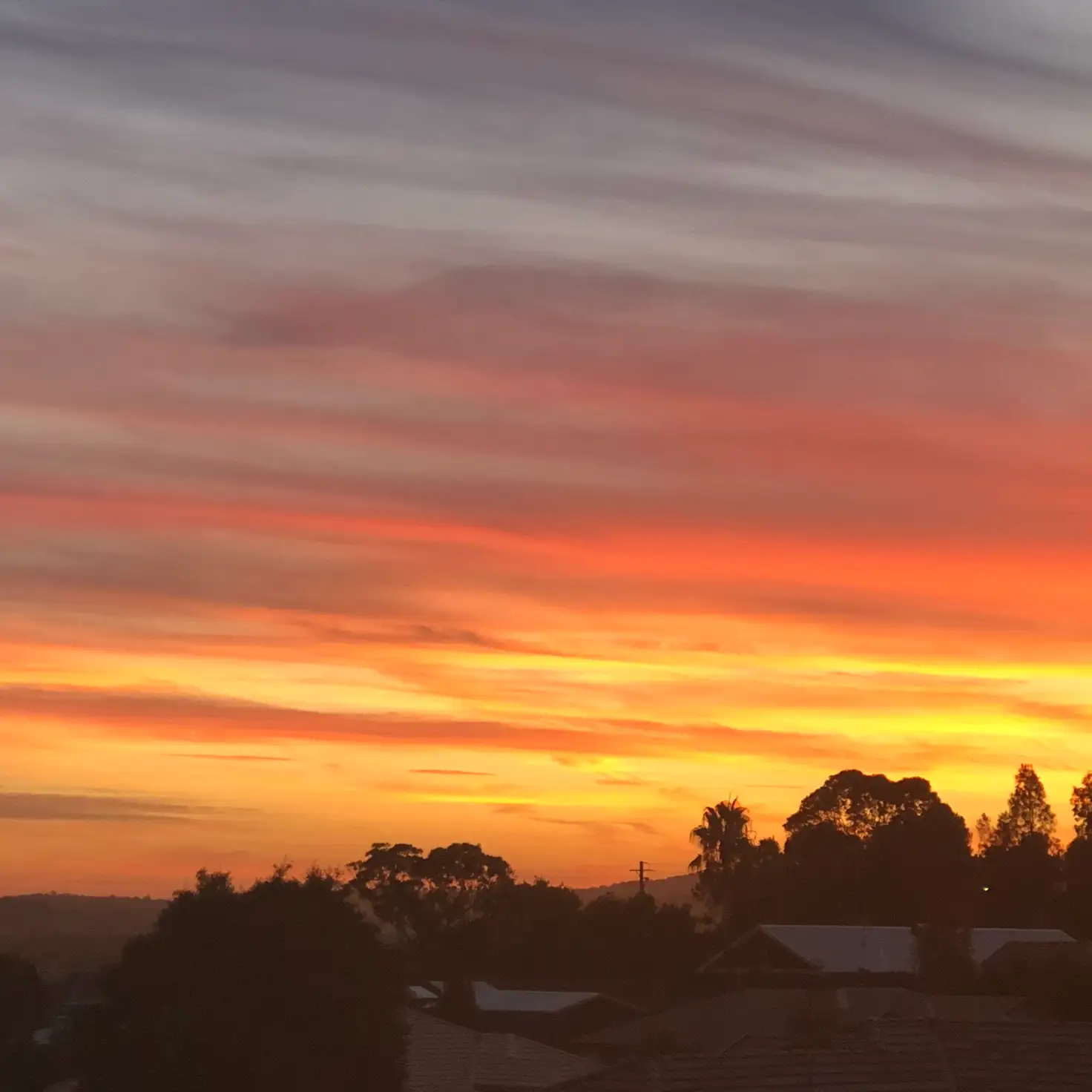 Main view of Homely house listing, 16 Porter Circuit, Milton NSW 2538