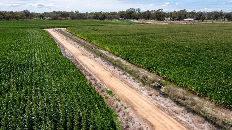 Third view of Homely rural property listing, 270 Collie Road, Harston VIC 3616